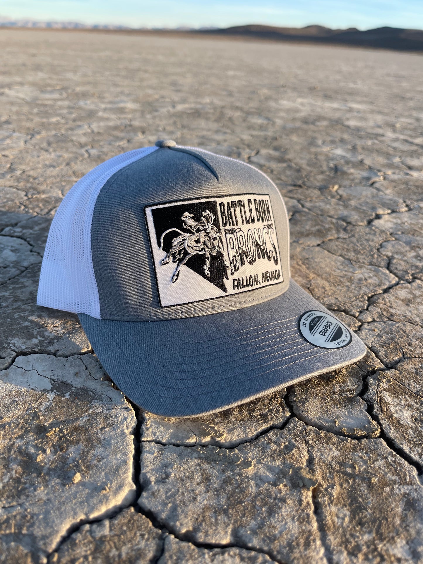 Battle Born Broncs Nevada Patch Curved Snapback Gray