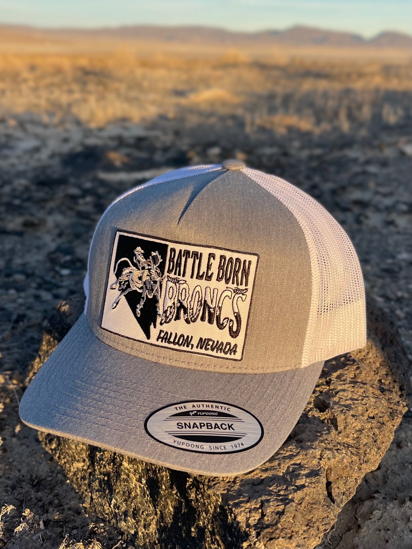 Battle Born Broncs Nevada Patch Curved Snapback Gray