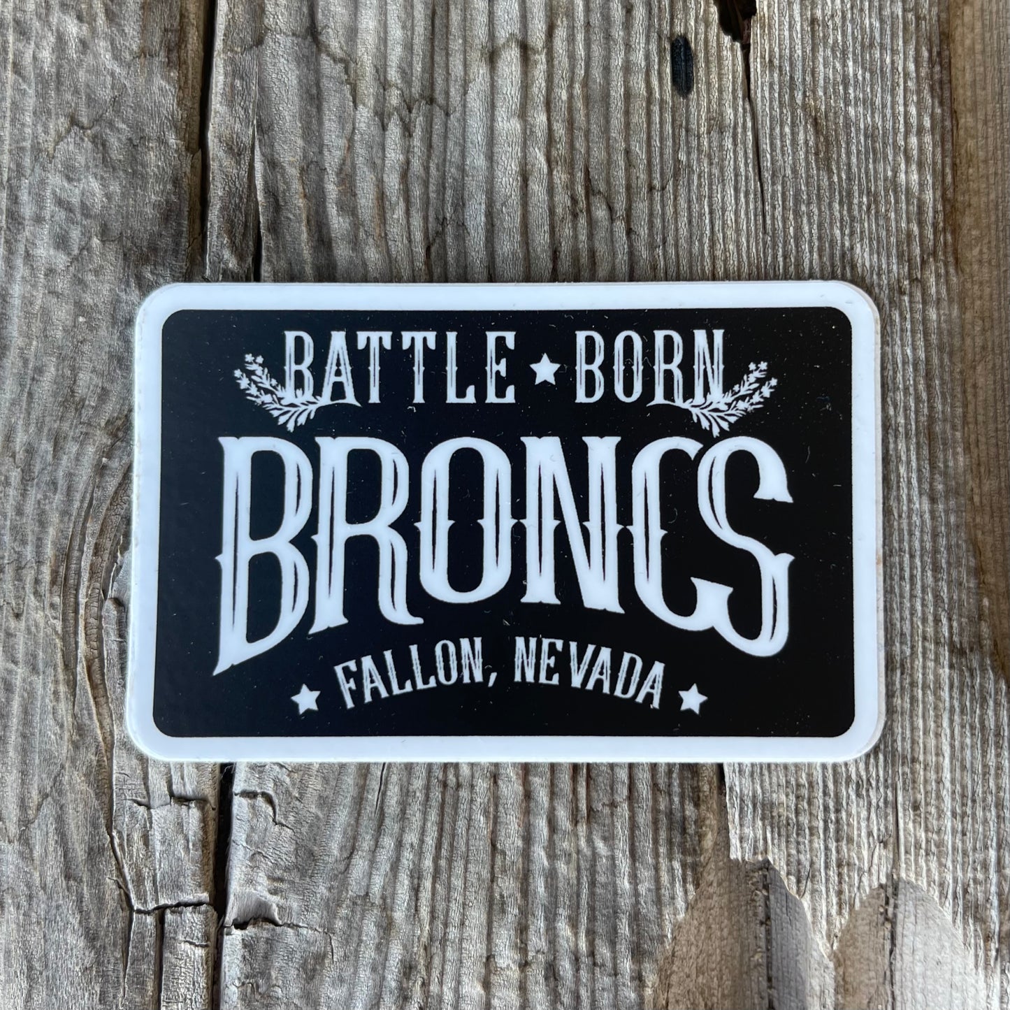 Battle Born Magnets